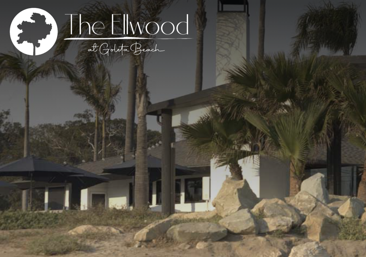The Ellwood at Goleta Beach behind palms.
